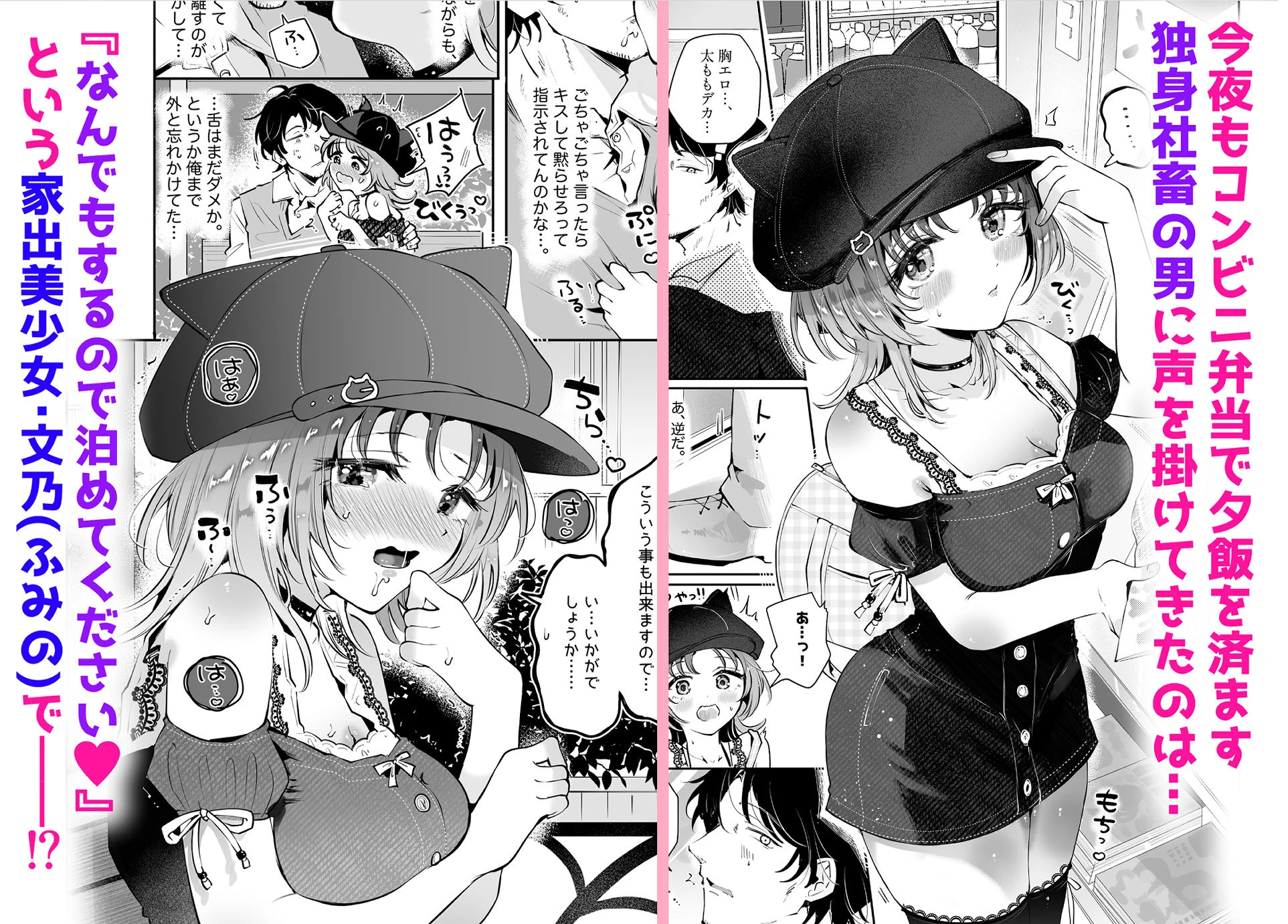家出美少女〇〇を生オナホとして飼う話〜迷い猫の拾い方〜 広告画像