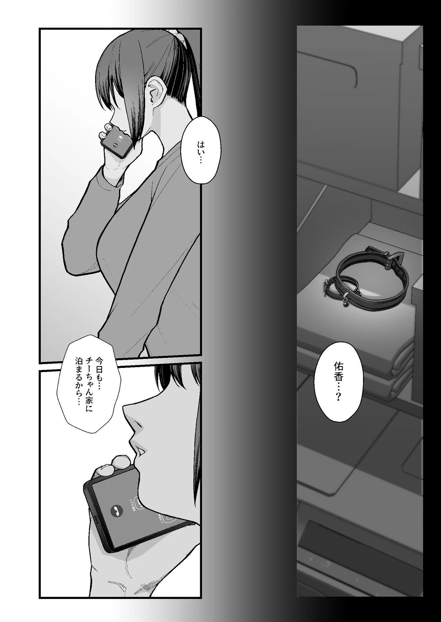 母娘に迫られ背徳に溺れる本 広告画像