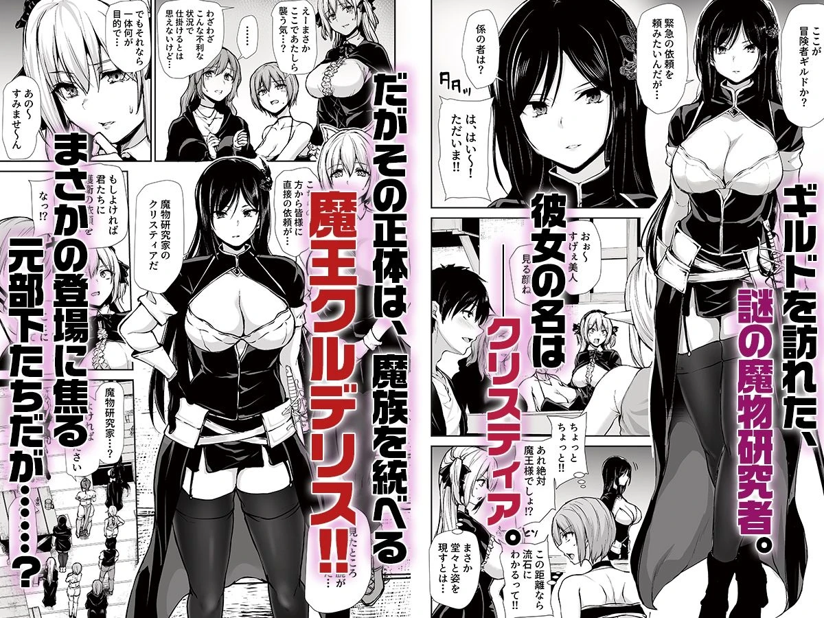 異世界ハーレム物語10 広告画像