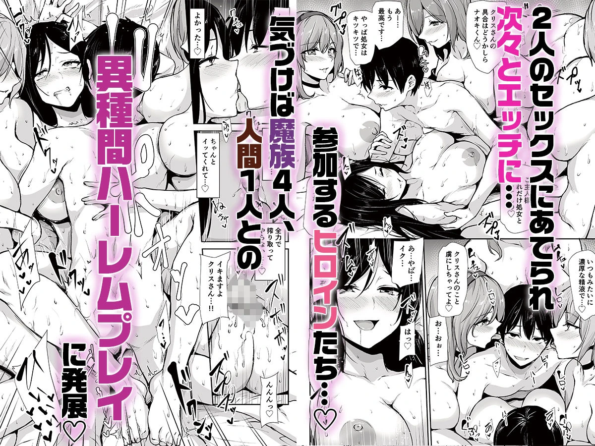 異世界ハーレム物語10 広告画像